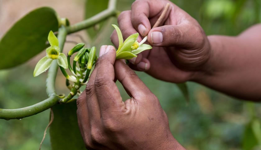 march 2014 feature 840x483